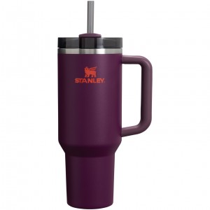 Stanley Adventure Quencher H2.0 Travel Tumbler | 40 oz Plum | GAF960752