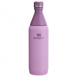 Stanley All Day Slim Bottle | 20 OZ Lilac | JPW524091