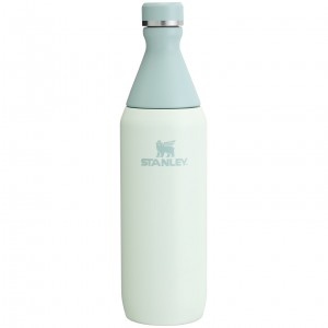 Stanley All Day Slim Bottle | 20 OZ Mist | XYC394712