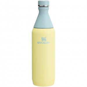 Stanley All Day Slim Bottle | 20 OZ Pomelo | MTZ930852