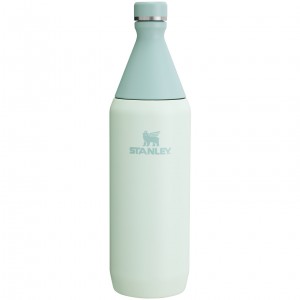 Stanley All Day Slim Bottle | 34 OZ Mist | OIG916357