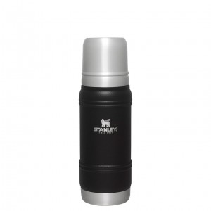 Stanley Artisan Thermal Bottle | 20 OZ Black Moon | FOZ021357