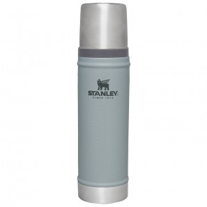 Stanley Classic Legendary Vacuum Insulated Water Bottle | 20 oz Hammertone Silver | ODW067352