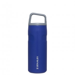 Stanley IceFlow™ Bottle with Cap and Carry+ Lid | 16 OZ Lapis Glimmer | VIU532149