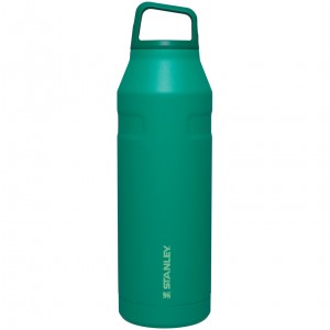 Stanley IceFlow™ Bottle with Cap and Carry+ Lid | 50 OZ Alpine | URW316958