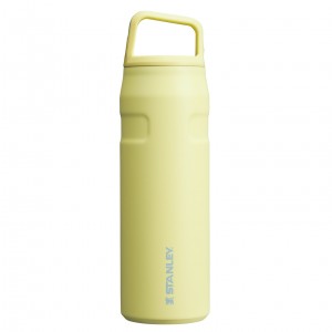 Stanley IceFlow™ Bottle with Cap and Carry+ Lid | 24 OZ Pomelo | OFS157689