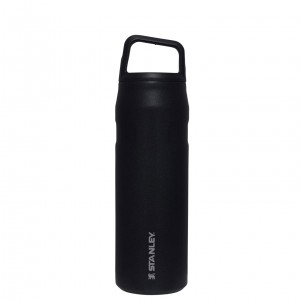 Stanley IceFlow™ Bottle with Cap and Carry+ Lid | 24 OZ Black Glimmer | OHA824619