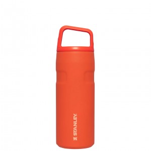 Stanley IceFlow™ Bottle with Cap and Carry+ Lid | 16 OZ Tigerlily | JHZ154627