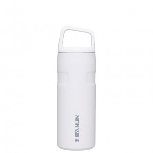 Stanley IceFlow™ Bottle with Cap and Carry+ Lid | 16 OZ Polar | BUC168549