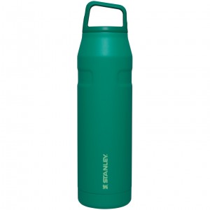 Stanley IceFlow™ Bottle with Cap and Carry+ Lid | 36 OZ Alpine | IDL015682