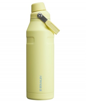 Stanley IceFlow™ Bottle with Fast Flow Lid | 50 OZ Pomelo | LAE349126