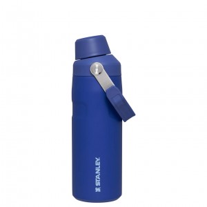 Stanley IceFlow™ Bottle with Fast Flow Lid | 16 OZ Lapis | DRA186425