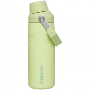 Stanley IceFlow™ Bottle with Fast Flow Lid | 16 OZ Citron | DLW165743