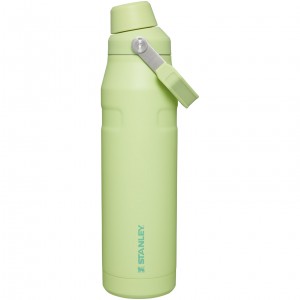 Stanley IceFlow Insulated Bottle with Fast Flow Lid | 36 OZ Citron | RYI371698