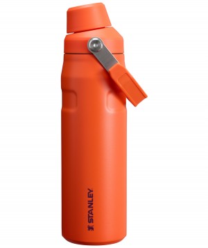 Stanley IceFlow Insulated Bottle with Fast Flow Lid | 24 OZ Tigerlily Plum | BAW513480