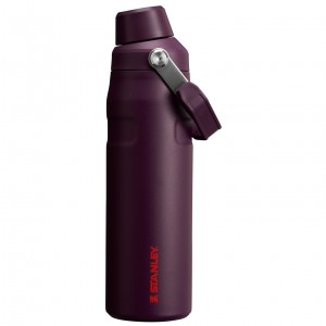 Stanley IceFlow Insulated Bottle with Fast Flow Lid | 24 OZ Plum | DRX924570