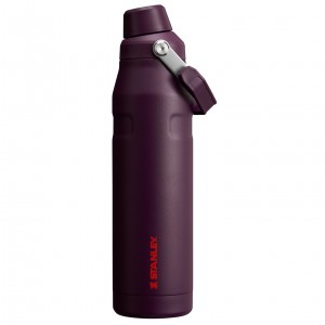 Stanley IceFlow Insulated Bottle with Fast Flow Lid | 36 OZ Plum | YJL163470