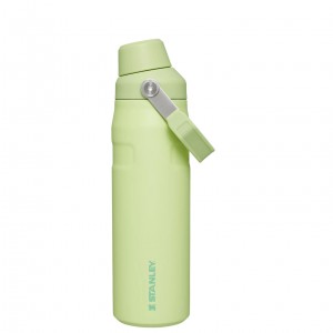 Stanley IceFlow Insulated Bottle with Fast Flow Lid | 24 OZ Citron | TSM628497