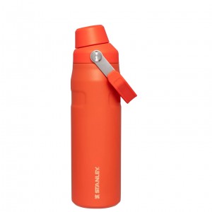 Stanley IceFlow Insulated Bottle with Fast Flow Lid | 24 OZ Tigerlily | XDR467239