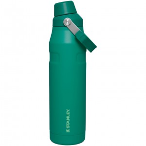 Stanley IceFlow Insulated Bottle with Fast Flow Lid | 36 OZ Alpine | GMF316584