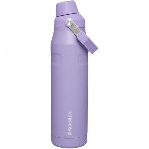 Stanley IceFlow Insulated Bottle with Fast Flow Lid | 36 OZ Lavender | XYF497302