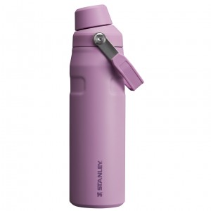 Stanley IceFlow Insulated Bottle with Fast Flow Lid | 24 OZ Lilac | PLY753198