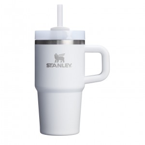 Stanley Quencher H2.0 Travel Tumbler With Handle & Straw | 20 OZ Frost | ESX359270