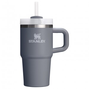 Stanley Quencher H2.0 Travel Tumbler With Handle & Straw | 20 OZ Stone | CEX965738