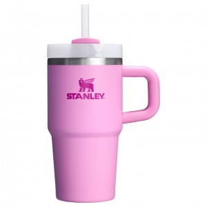 Stanley Quencher H2.0 Travel Tumbler With Handle & Straw | 20 OZ Peony | RQI062591