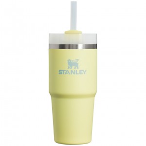 Stanley Quencher H2.0 Travel Tumbler | 14 OZ Pomelo | NZP617538