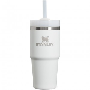 Stanley Quencher H2.0 Travel Tumbler | 14 OZ Frost | KDY314906