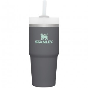 Stanley Quencher H2.0 Travel Tumbler | 14 OZ Charcoal | LAP985307