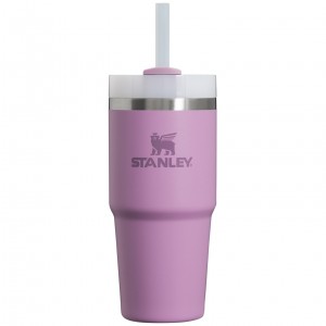 Stanley Quencher H2.0 Travel Tumbler | 14 OZ Lilac | IZC301876