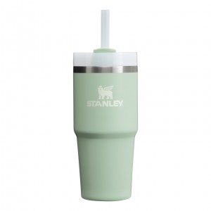 Stanley Quencher H2.0 Travel Tumbler | 14 OZ Matcha Cream | VFO643590