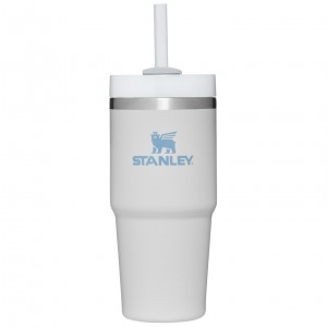 Stanley Quencher H2.0 Travel Tumbler | 14 OZ Fog | MHU608415