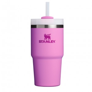 Stanley Quencher H2.0 Travel Tumbler | 20 OZ Peony | HJO063278