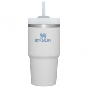 Stanley Quencher H2.0 Travel Tumbler | 20 OZ Fog | GZL608912