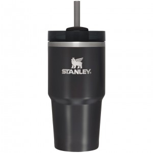 Stanley Quencher H2.0 Travel Tumbler | 20 OZ Black Glow | LKF807139