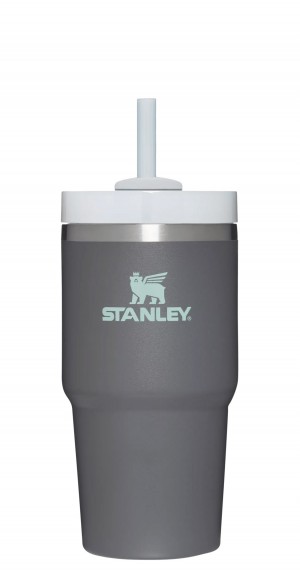 Stanley Quencher H2.0 Travel Tumbler | 20 OZ Charcoal | JGU347921