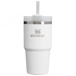 Stanley Quencher H2.0 Travel Tumbler | 20 OZ Frost | JTG867142