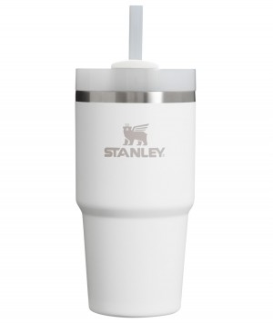 Stanley Quencher H2.0 Travel Tumbler | 20 OZ Frost | QGW803159