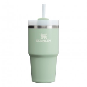 Stanley Quencher H2.0 Travel Tumbler | 20 OZ Matcha Cream | YNA152936