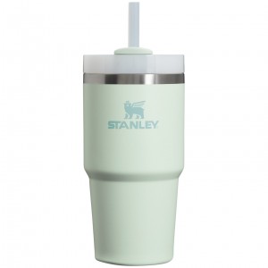 Stanley Quencher H2.0 Travel Tumbler | 20 OZ Mist | CAP728501