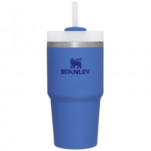 Stanley Quencher H2.0 Travel Tumbler | 20 OZ Iris | XML824615