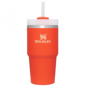 Stanley Quencher H2.0 Travel Tumbler | 20 OZ Tigerlily | BRE742931