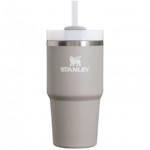 Stanley Quencher H2.0 Travel Tumbler | 20 OZ Ash | QST180763