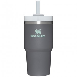 Stanley Quencher H2.0 Travel Tumbler | 20 OZ Charcoal | REQ081476