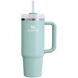 Stanley Quencher H2.0 Travel Tumbler | 30 OZ Seafoam | XDP349716