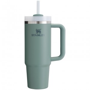 Stanley Quencher H2.0 Travel Tumbler | 30 OZ Shale | UMY627893