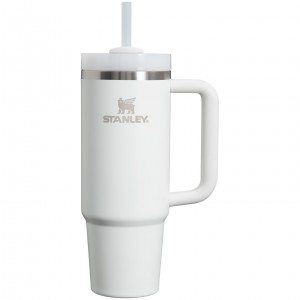 Stanley Quencher H2.0 Travel Tumbler | 30 OZ Frost | VSY189756